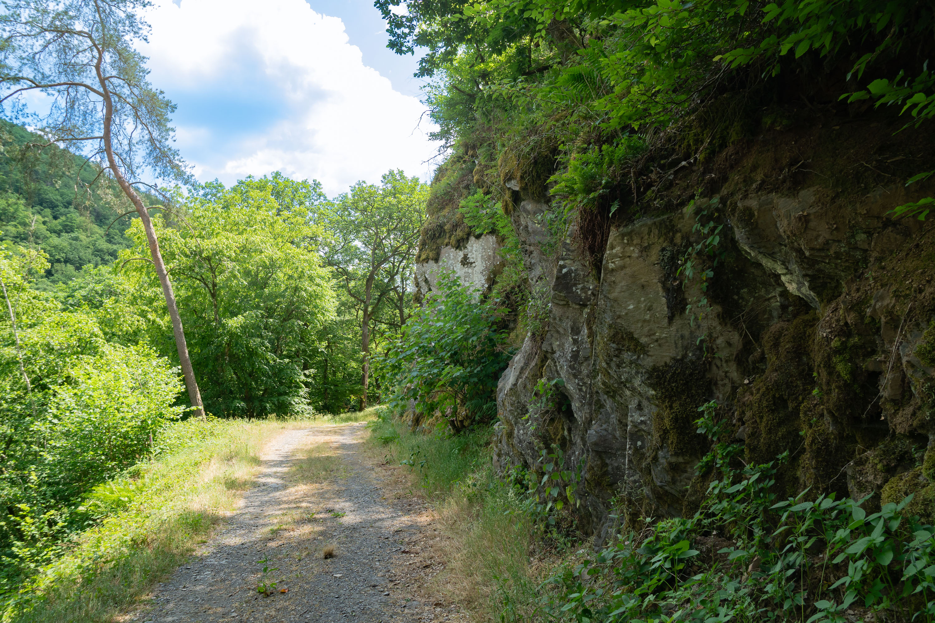 Felsblock am Ueßbach